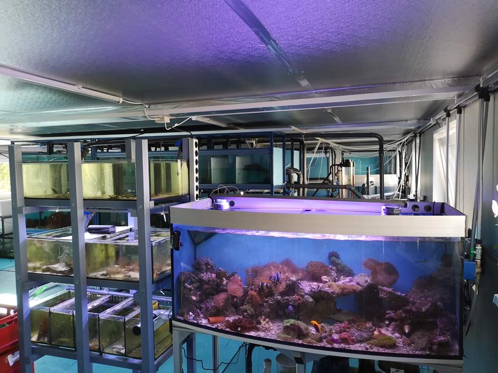 Nemo-Aquaristik Eingangsbereich Nemo-Aquaristik Eingangsbereich