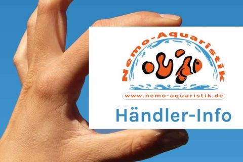 Händlerinformationen 2 Nemo-Aquaristik Händler-Info
